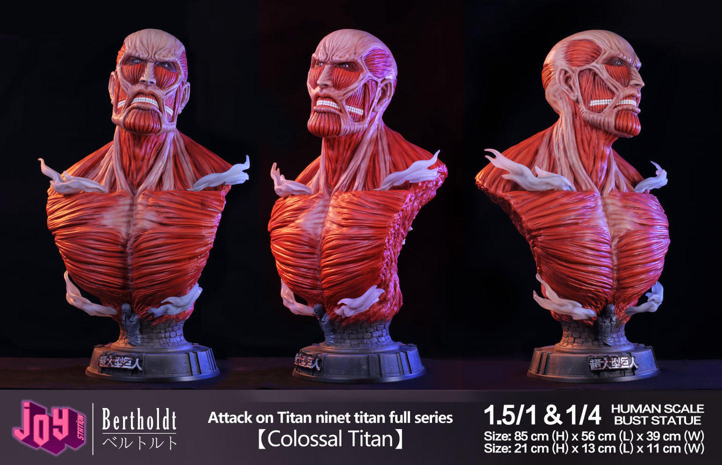 JOY STATION STUDIO – ATTACK ON TITAN: TITAN BUST SERIES SET OF FIVE 1/4 [IN STOCK]